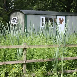 the-squirrels-drey-shepherds-hut.yorkshirehotels.net/